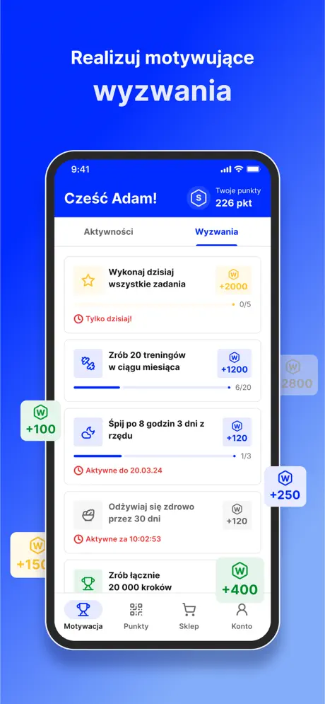 SFD screenshot 3